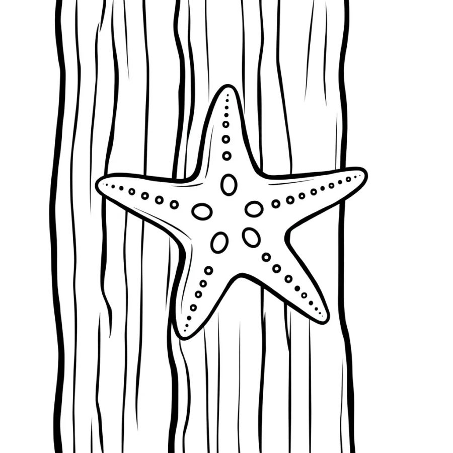 Starfish Stuck To The Side Of A Wooden Boardwalk Piling Coloring Page